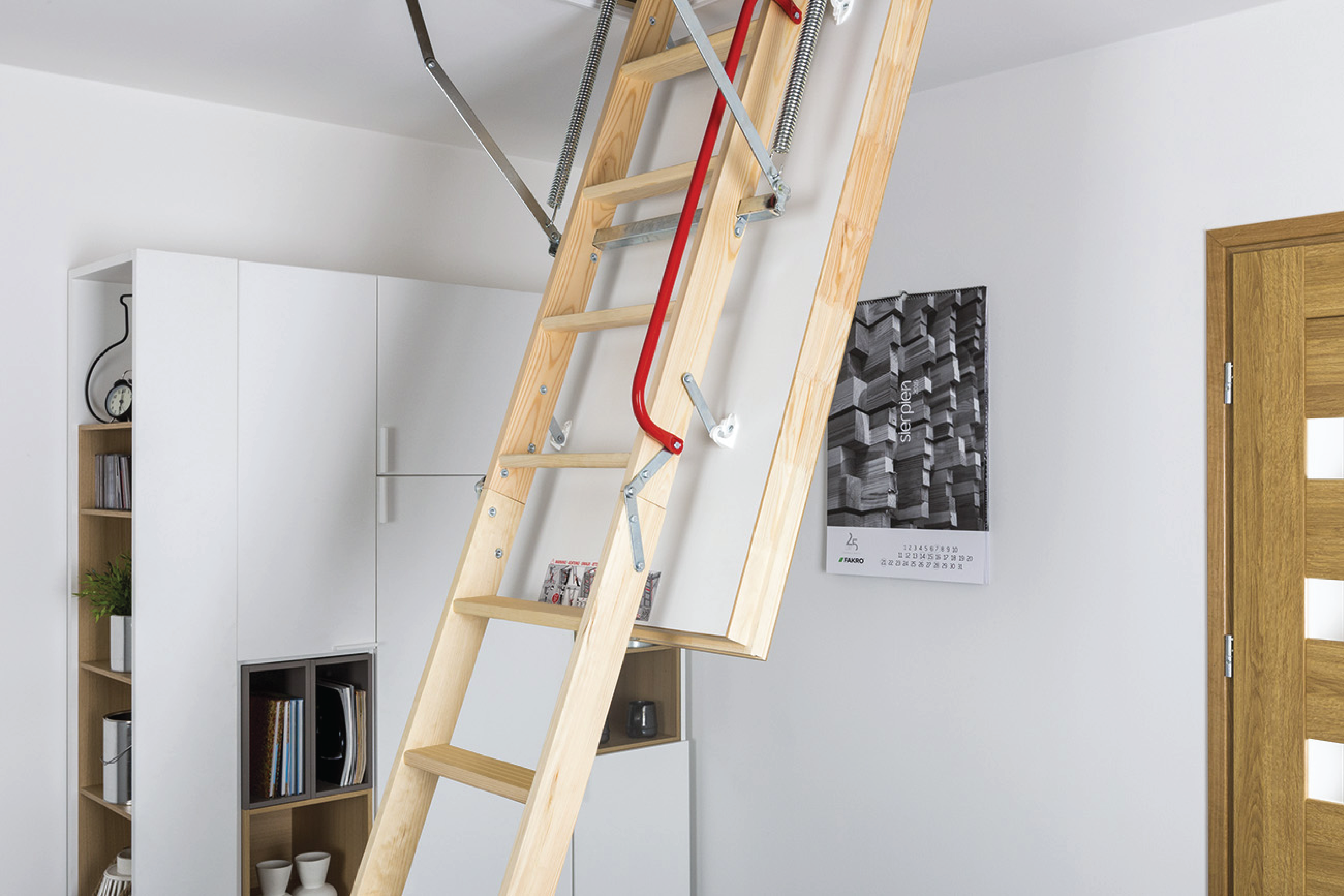 Loft Ladder Main
